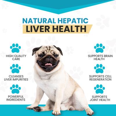 SAMe 100 Liver Support for Dogs, 60 count