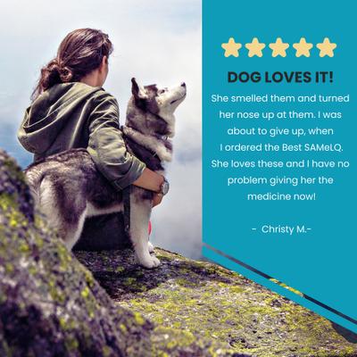 SAMe 100 Liver Support for Dogs, 60 count