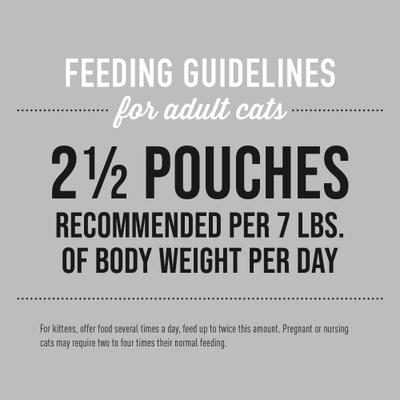 Silver Mousse Salmon & Pumpkin Grain-Free Senior Wet Cat Food, 2.8-oz, 12 count