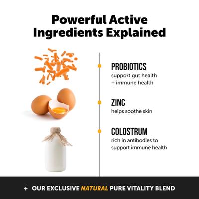 Bundle: Veterinary Formula Clinical Care Antiseptic & Antifungal Shampoo, 16-oz bottle & PetHonesty Allergy Support Soft Chews Dog Supplement