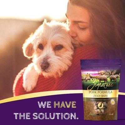 Pork Formula Ziggy Bars Biscuit Dog Treats, 12-oz bag