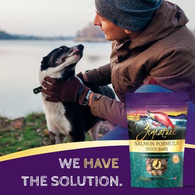 Salmon Formula Ziggy Bars Biscuit Dog Treats, 12-oz bag