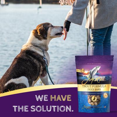 Trout Formula Ziggy Bars Biscuit Dog Treats, 12-oz bag