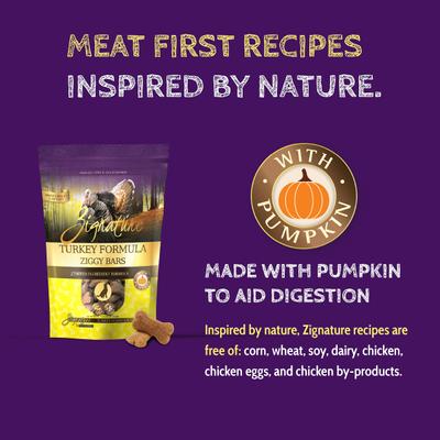 Turkey Formula Ziggy Bars Biscuit Dog Treats, 12-oz bag