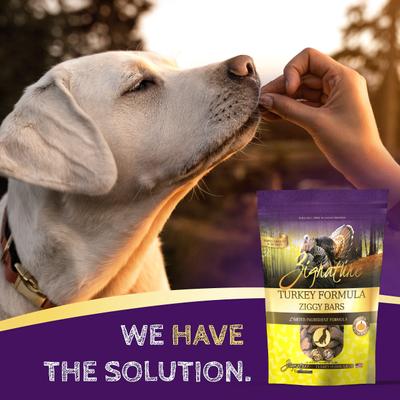 Turkey Formula Ziggy Bars Biscuit Dog Treats, 12-oz bag