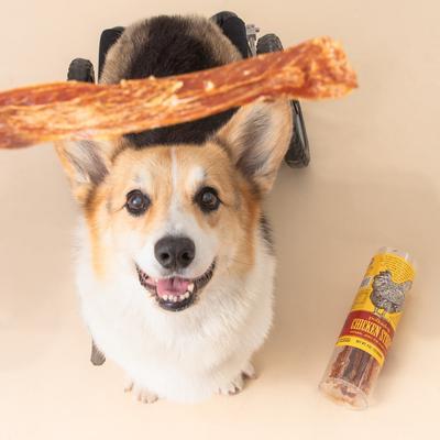 Chicken Strips Dog & Cat Treats, 4-oz tube