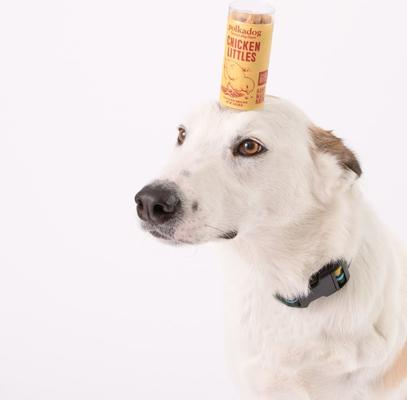 Sfizis Chicken Little Recipe Dehydrated Dog Treats, 2-oz tube