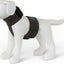 Calmer Canine Convenience Dog Vest, Medium