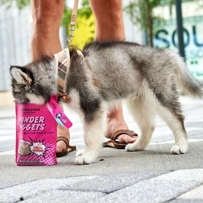 Wonder Nuggets Turkey & Cranberry Flavor Soft & Chewy Dog Treats, 10-oz bag