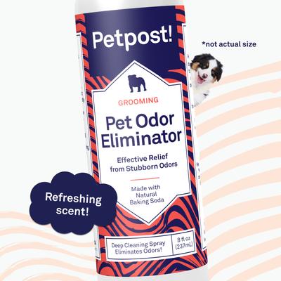 Pet Odor Eliminator Spray, 8-fl oz bottle
