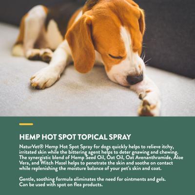 Hemp Hot Spot with Aloe Vera Dog Spray, 12-fl oz bottle