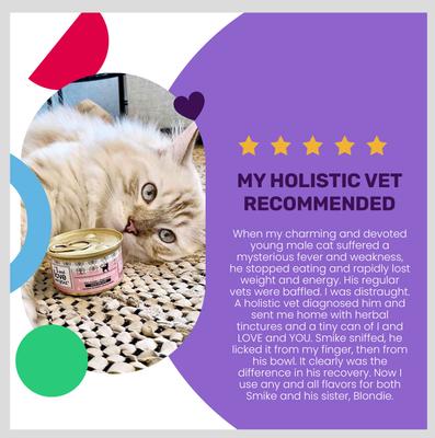 Savory Salmon Pate Grain-Free Canned Cat Food, 3-oz, case of 24