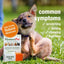 Skin & Itch Dog, Cat, Bird & Small Animal Supplement, 450 drops