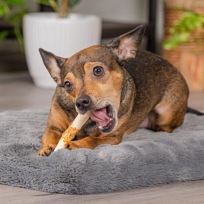 Twistedz 3 to 3.5-inch Beefhide Mini Rolls Beef Flavored Dog Hard Chews, 14 count