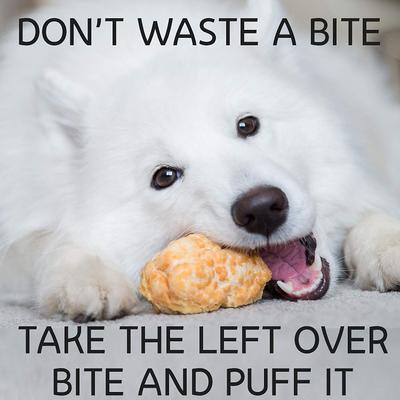 Large Bulk Dog Treats, 13 count