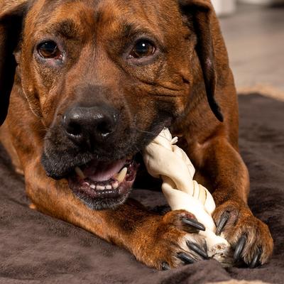 Beefhide 6-inch Braided Sticks Natural Flavored Natural Dog Hard Chews, 14 count