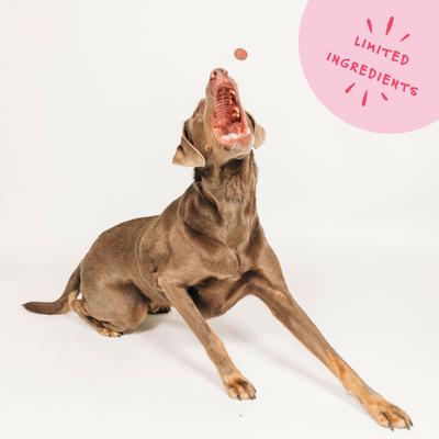 Crispies Banana & Bacon Recipe Dog Treats, 10-oz box