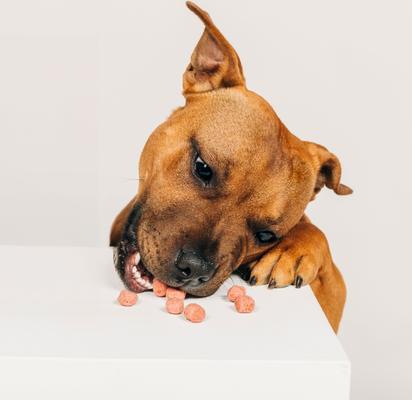 Crispies Banana & Bacon Recipe Dog Treats, 10-oz box