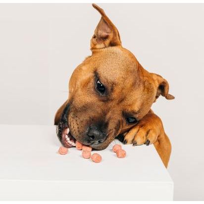 Galletas para perros Crispies con sabor a plátano y tocino, caja de 10 oz