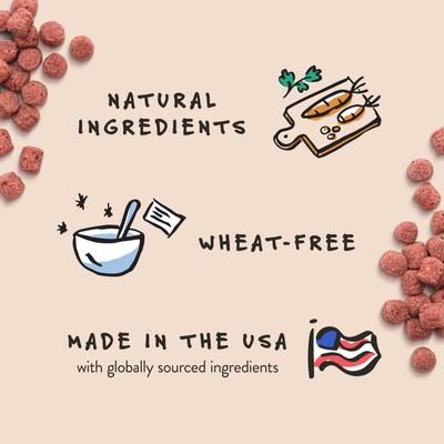 Galletas para perros Crispies con sabor a plátano y tocino, caja de 10 oz