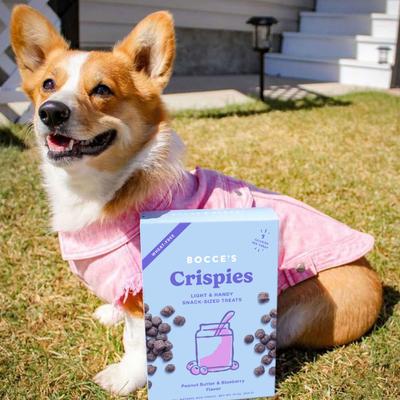 Galletas para perros Crispies con mantequilla de maní y arándanos, caja de 10 oz