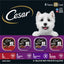 Bundle: Cesar Classic Loaf in Sauce Beef Recipe, Filet Mignon, Grilled Chicken, & Porterhouse Steak Flavors Food Trays + American Journey Beef Recipe Grain-Free Soft & Chewy Training Bits Dog Treats