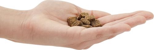 Bundle: American Journey Protein & Grains Large Breed Puppy Chicken, Brown Rice & Vegetables Recipe Dry Food + Beef Recipe Grain-Free Soft & Chewy Training Bits Dog Treats