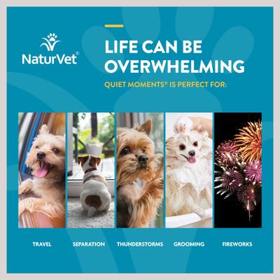 Scoopables Quiet Moments Calming Aid Dog Supplement, 11-oz bag