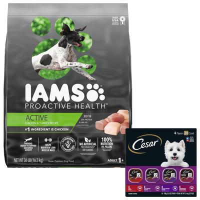 Bundle: Iams Proactive Health Active Chicken & Turkey Recipe Dry Dog Food + Cesar Classic Loaf in Sauce Beef Recipe, Filet Mignon, Grilled Chicken, & Porterhouse Steak Flavors Variety Pack Wet Dog Food
