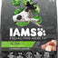 Bundle: Iams Proactive Health Active Chicken & Turkey Recipe Dry Dog Food + Cesar Classic Loaf in Sauce Beef Recipe, Filet Mignon, Grilled Chicken, & Porterhouse Steak Flavors Variety Pack Wet Dog Food