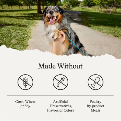 Bundle: American Journey Poultry & Beef Variety Pack Canned Dog Food +Protein & Grains Beef, Brown Rice & Vegetables Recipe Dry Food