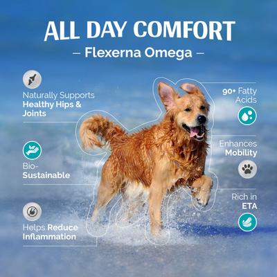 Flexerna Omega Liquid Dog Supplement, 8-fl oz bottle