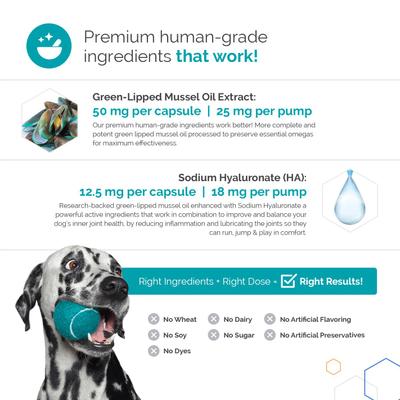 Flexerna Omega Liquid Dog Supplement, 8-fl oz bottle