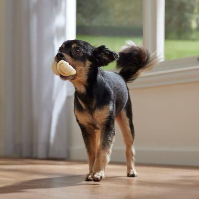 DogLicious 4 - 5" Natural Bones Dog Treats, 6 count