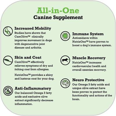 Omega 3 Anti-Inflammatory Dog Supplement, 16-fl oz bottle