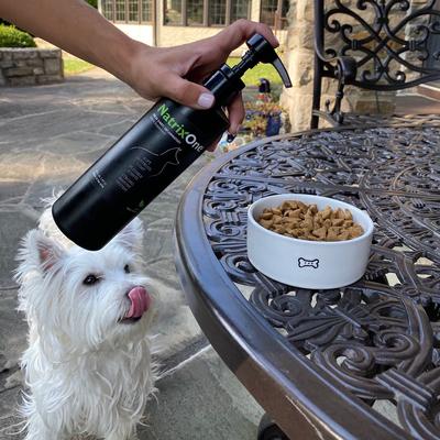 Omega 3 Anti-Inflammatory Dog Supplement, 16-fl oz bottle