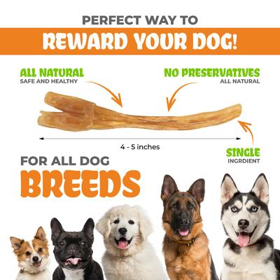 Masticables de tendón de res para perros, 25 unidades