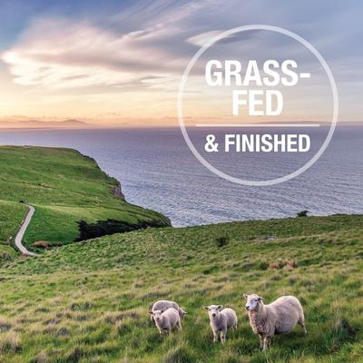 Chicken & Lamb Feast Grain-Free Wet Cat Food, 3-oz pouch, case of 12