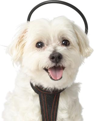 Paquete para perros con sistema de tratamiento de la ansiedad Calmer Canine, extra pequeño