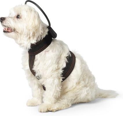 Calmer Canine Anxiety Treatment System Dog Bundle, X-Small