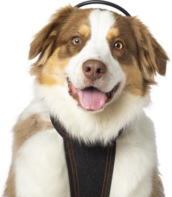 Calmer Canine Anxiety Treatment System Dog Bundle, X-Small