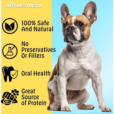 Golosinas para perros con hueso de espinilla de res carnoso de 8 a 10 pulgadas, grandes, 1 unidad