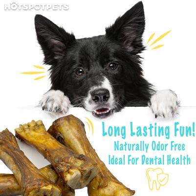 8 to 10-in Meaty Beef Shin Bone Dog Treats, Large, 1 count