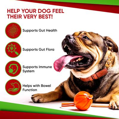 Advanced Max-Strength Digestive Health Probiotic Powder Dog Supplement, 4.2-oz