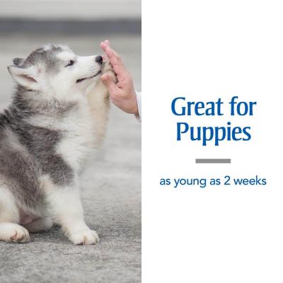 Sure Shot 2X Dewormer for Hookworms & Roundworms for Dogs, 2-fl oz bottle