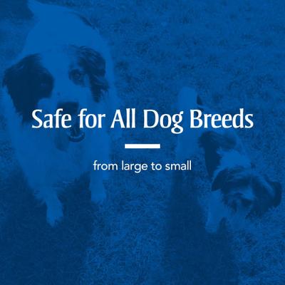 Sure Shot 2X Dewormer for Hookworms & Roundworms for Dogs, 2-fl oz bottle