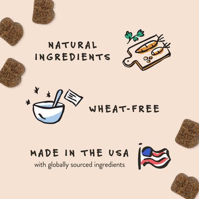 Soft Chew Skin & Coat Supplement for Dogs, 60 count