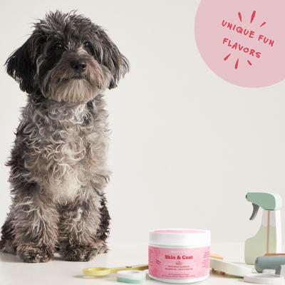 Soft Chew Skin & Coat Supplement for Dogs, 60 count