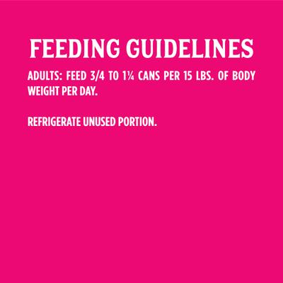 Chicken, Rice 'N Vegetable Formula Canned Dog Food, 13.2-oz, case of 12