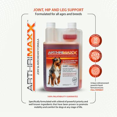ArthriMAXX Joint Support & Antioxidant Dog Supplement, 32-fl oz bottle